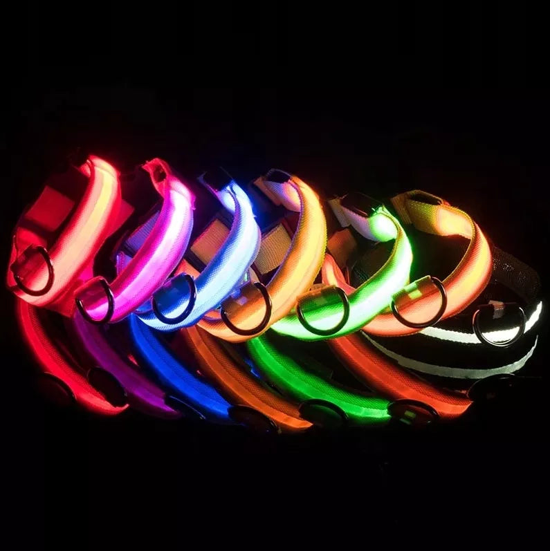 led svijetleca ogrlica za pse