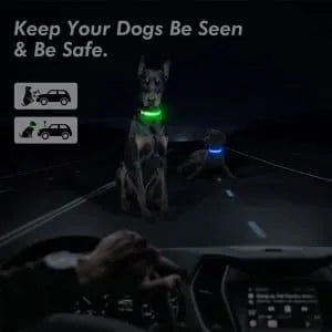 led svijetleca ogrlica za pse